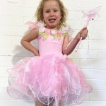 Fairy Dress Wish & Wand - Large - 6 - 8 years